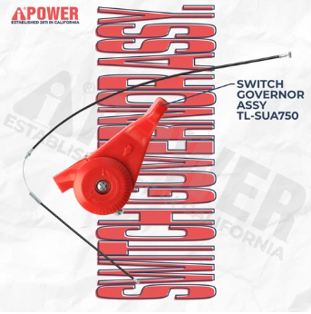 SWITCH GOVERNOR ASSY